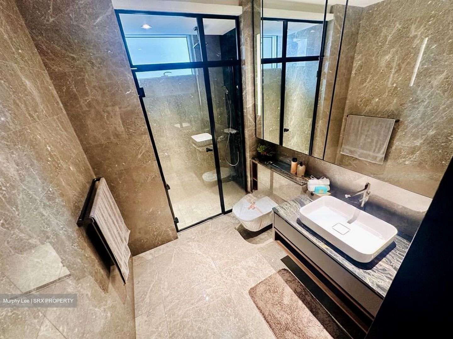 Boulevard 88 (D10), Apartment #454907981